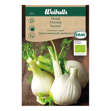 GRÖNSAKSFRÖ WEIBULLS FÄNKÅL PERFECTION KRAV
