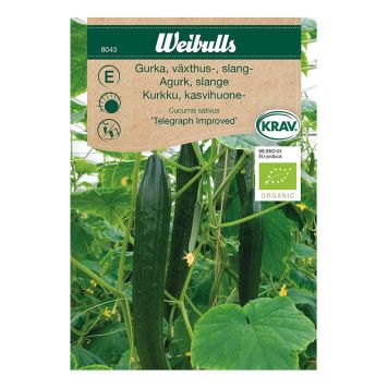 GRÖNSAKSFRÖ WEIBULLS GURKA TELEGRAPH IMPROVED KRAV