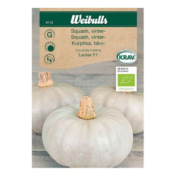 GRÖNSAKSFRÖ WEIBULLS SQUASH VINTER KRAV