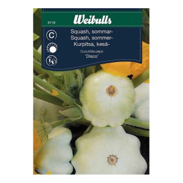 GRÖNSAKSFRÖ WEIBULLS SQUASH DISCO SOMMAR