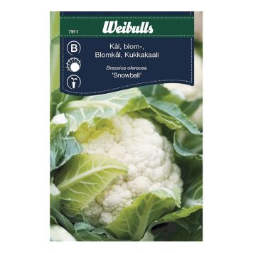 GRÖNSAKSFRÖ WEIBULLS KÅL BLOMKÅL SNOWBALL