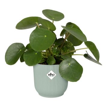 PLASTKRUKA ELHO VIBES SKJULER Ø18CM SORBETGRÖN