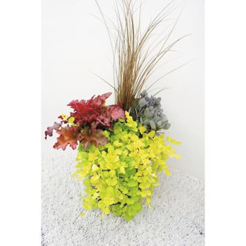 HÖSTPLANTERING KRUKA 24CM