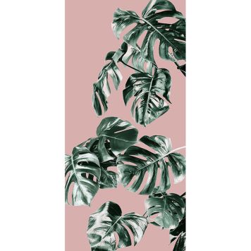 FOTOTAPET KOMAR MONSTERA ROSÉ H