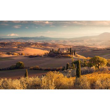 FOTOTAPET KOMAR TOSKANA