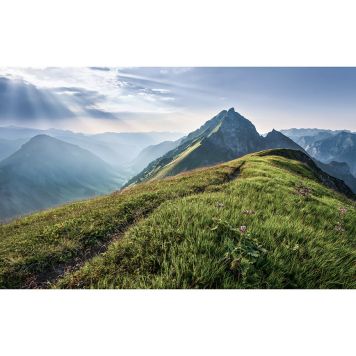 FOTOTAPET KOMAR BERGSRYGG