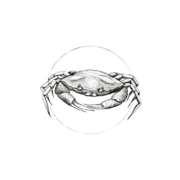 POSTER KOMAR CRAB WHITE 30X40CM