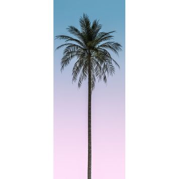 FOTOTAPET KOMAR SKYHÖG