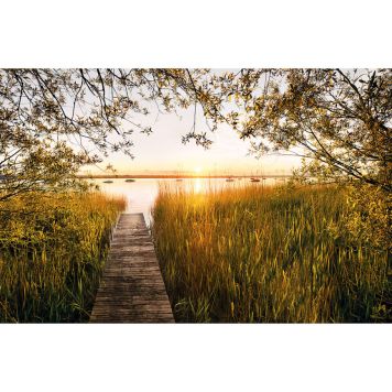 FOTOTAPET KOMAR SJÖNÄRA