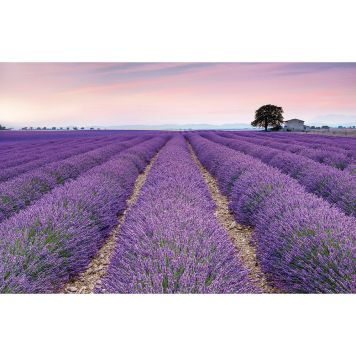 FOTOTAPET KOMAR PROVENCE