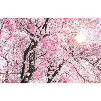 FOTOTAPET KOMAR BLOMSTER