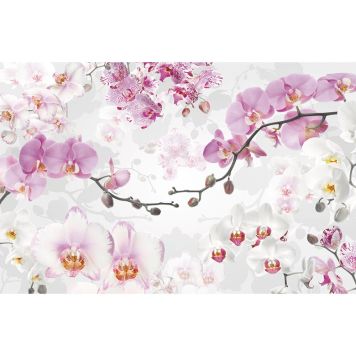 FOTOTAPET KOMAR POSITANO