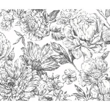 FOTOTAPET KOMAR RABATT