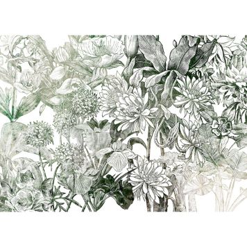 FOTOTAPET KOMAR VALERIE