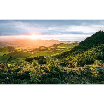 FOTOTAPET KOMAR PARADISÖ