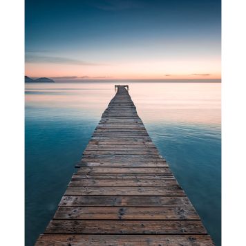 FOTOTAPET KOMAR MORGONBRIS