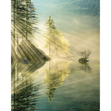 FOTOTAPET KOMAR SKÖNHETENS ÖVERSEENDE