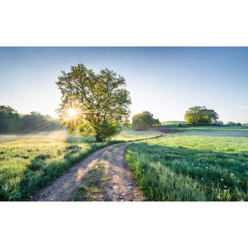 FOTOTAPET KOMAR NY DAG I PARADISET