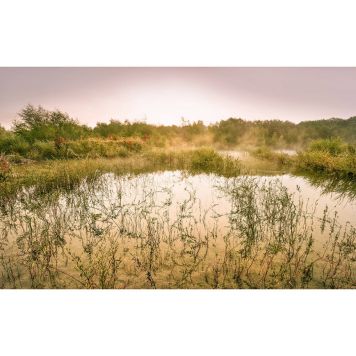 FOTOTAPET KOMAR MORGONUTSIKT II