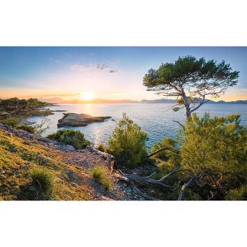 FOTOTAPET KOMAR SÖDERLJUS