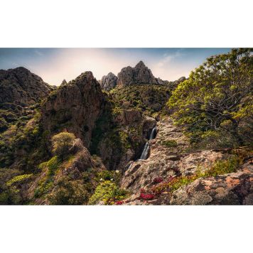 FOTOTAPET KOMAR REGNBÅGENS LAND