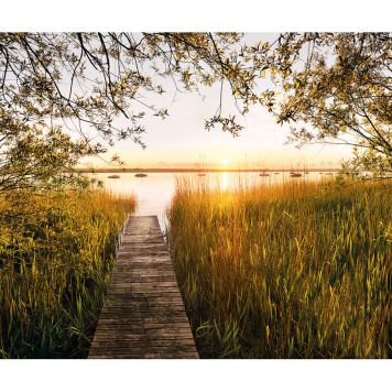 FOTOTAPET KOMAR SJÖNÄRA