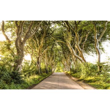 FOTOTAPET KOMAR GYLLENE HÄCKAR