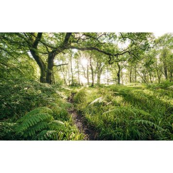 FOTOTAPET KOMAR MYSTISK VÄG