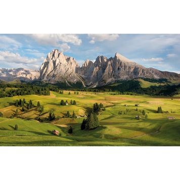 FOTOTAPET KOMAR ALPERNA