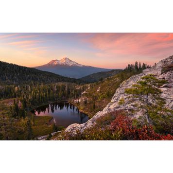 FOTOTAPET KOMAR BETWEEN THE LIGHT