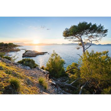 FOTOTAPET KOMAR SYDENS LJUS