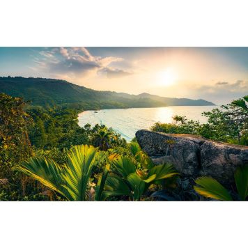 FOTOTAPET KOMAR GYLLENE LUFT