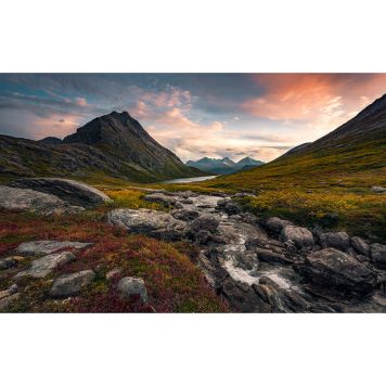 FOTOTAPET KOMAR BRANT PARADIS