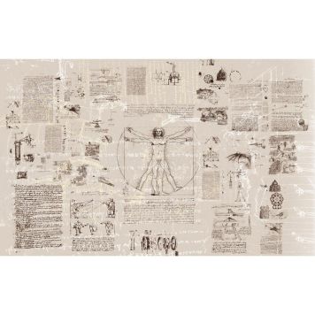 FOTOTAPET KOMAR DA VINCI