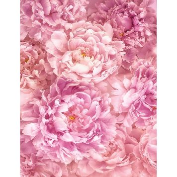 FOTOTAPET KOMAR SOAVE