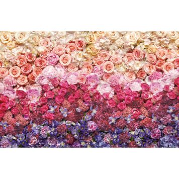 FOTOTAPET KOMAR INTENSIV