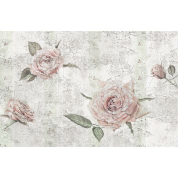 FOTOTAPET KOMAR TANTINET