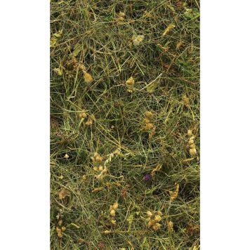 FOTOTAPET KOMAR BERGSHÖ