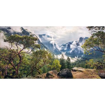 FOTOTAPET KOMAR UNIKT PARADIS