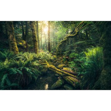 FOTOTAPET KOMAR ELVES CATHEDRAL