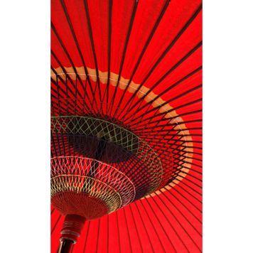 FOTOTAPET KOMAR BANGKOK