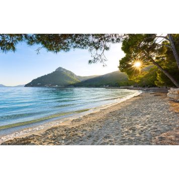 FOTOTAPET KOMAR ENSAMT PARADIS