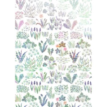 FOTOTAPET KOMAR BLOMSTERGÅRD