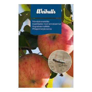 FEROMONFÄLLA WEIBULLS FÖR RÖNNBÄRSMAL 8-PACK