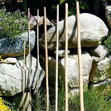 BAMBUSSTÖD BELLISSA 240 CM