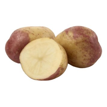 SÄTTPOTATIS STUBBETORP KING EDWARD SEN 3KG