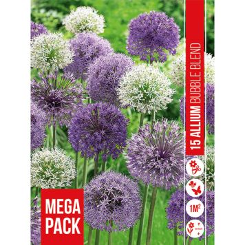 HÖSTLÖK ALLIUM BUBBLE BLANDAD 15ST