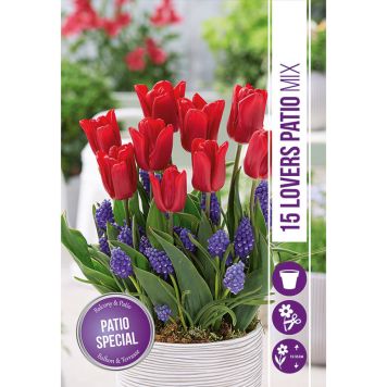 HÖSTLÖK KRUKHALLON 15ST