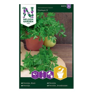 GRÖNSAKSFRÖ NELSON GARDEN PERSILJA COMUN 3 SLÄTBLADIG