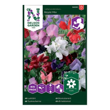 BLOMFRÖ NELSON GARDEN LUKTÄRT ROYAL MIX STORPACK